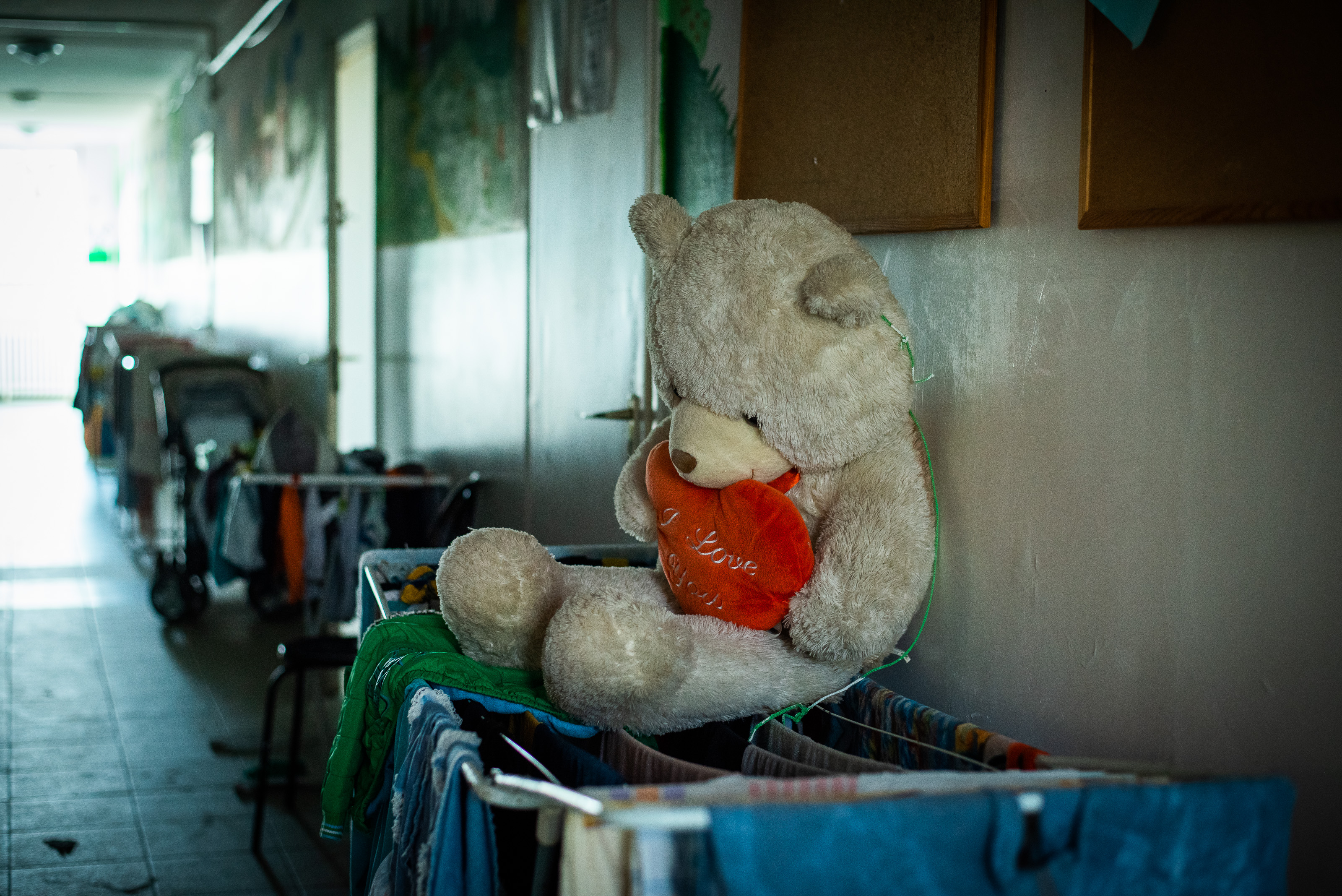 illusztracio wohner orsi 2